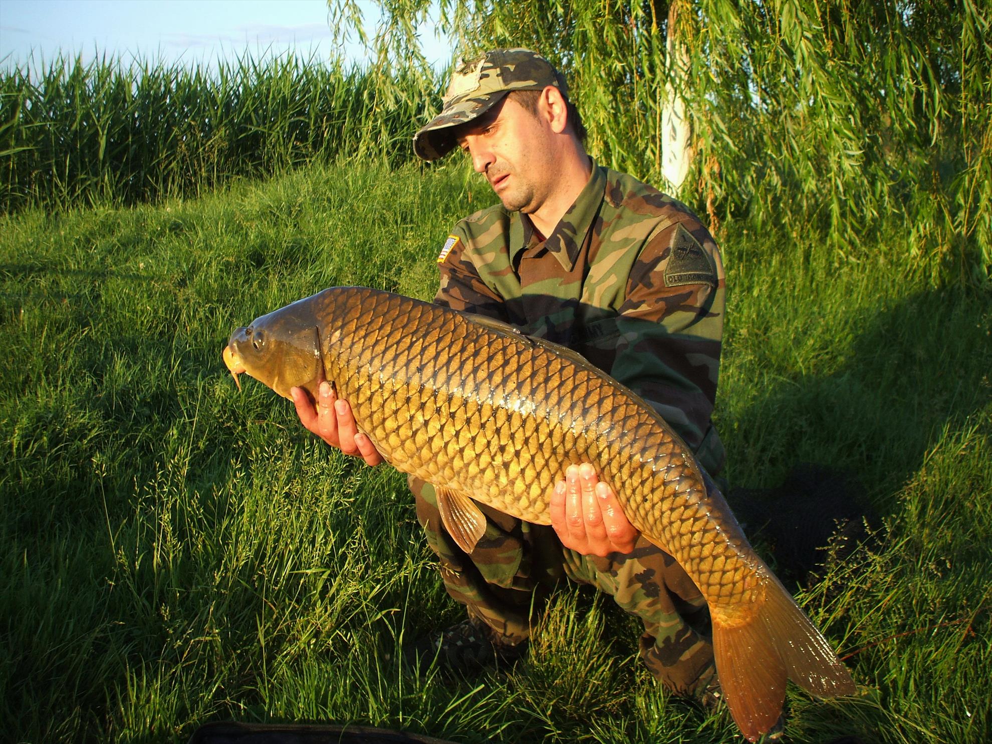 Pe maluri de ape - dscf0354.JPG